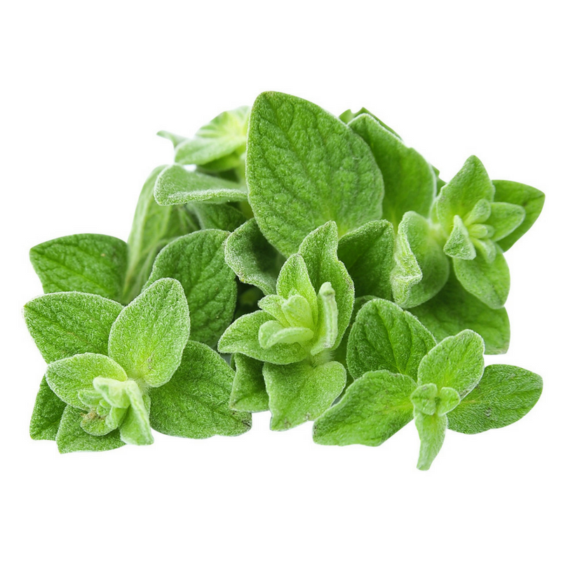dōTERRA Oregano Essential Oil