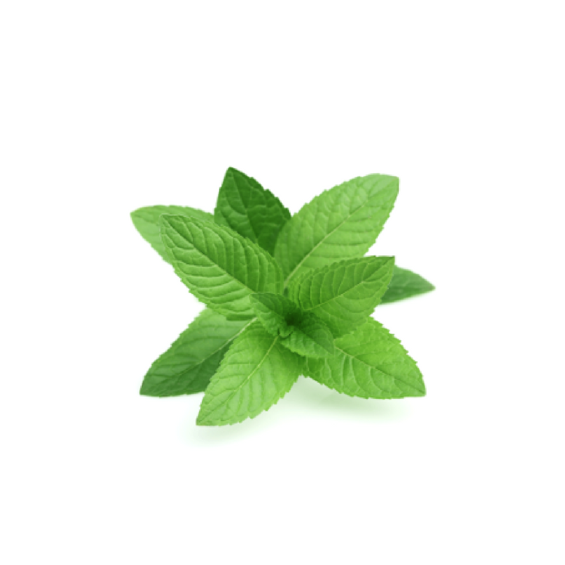 dōTERRA Peppermint Essential Oil